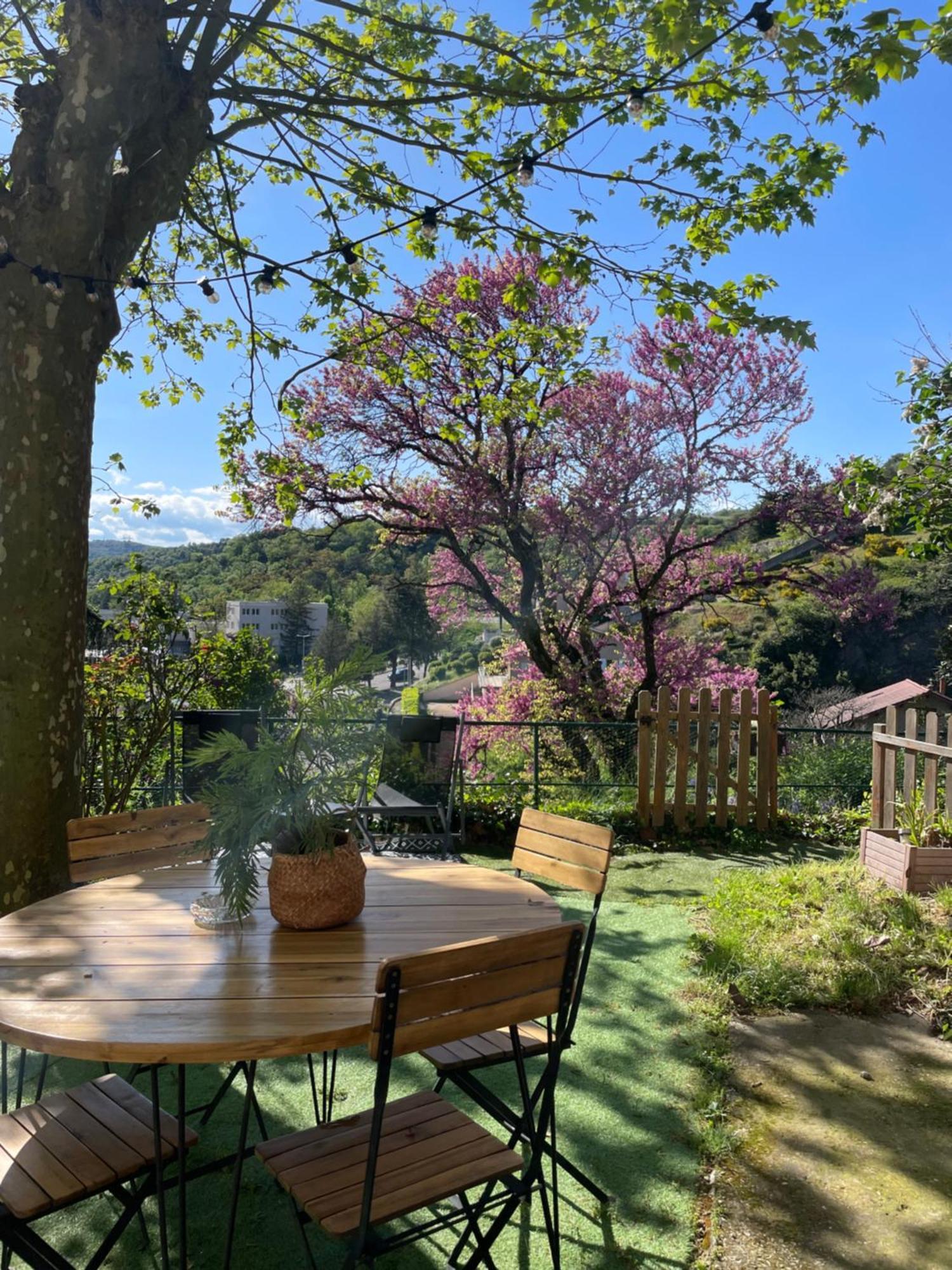 Maison A Avec Jardin Privatif Dans Domaine Des Crozes Vienne  Bagian luar foto